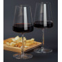 Набор бокалов для вина 2 предмета 520 мл бокалы для двоих Stoelzle Power ED1054