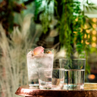 Склянка висока Highball 560 мл серія "Cidra" Нідерланди