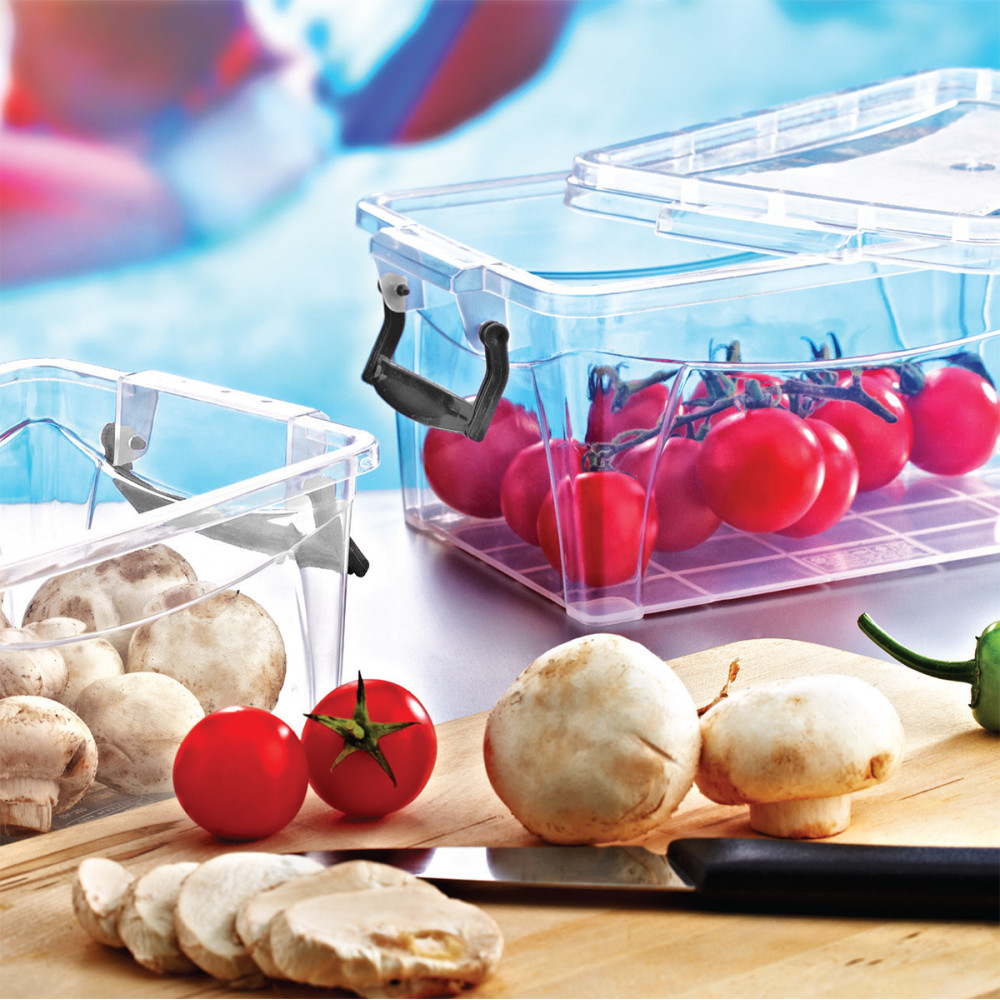 Пластиковий контейнер для харчових продуктів з кришкою Plastart SA-345 Судок харчовий із клямками 0,6 л.
