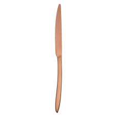 Ніж столовий Eternum Orca Copper Matt mono 235 мм