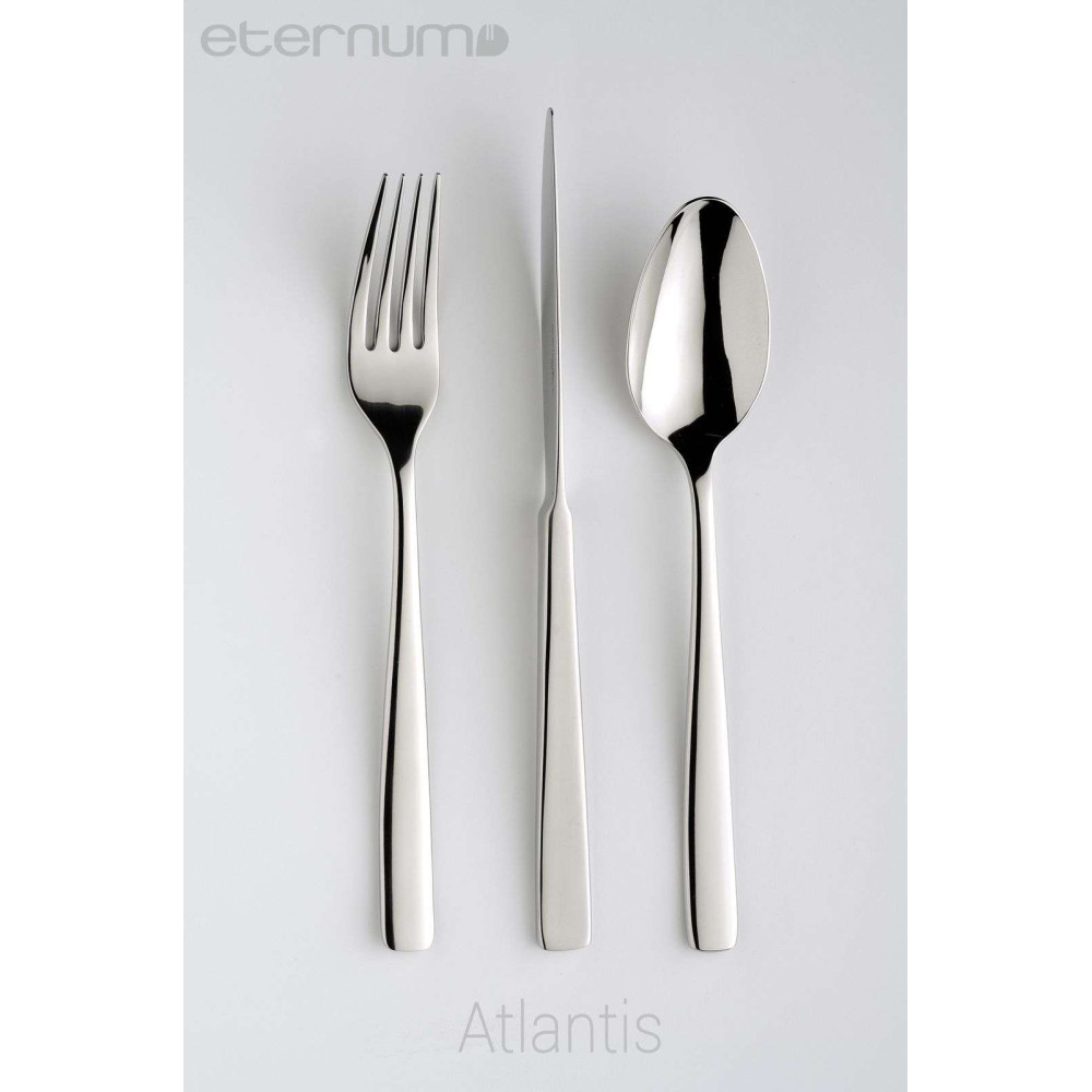 Ложка чайна Eternum Atlantis