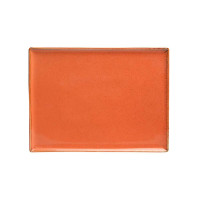 Porland Seasons Orange Тарілка прямокутна 270х210 мм