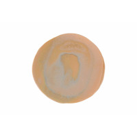 Porland Stoneware Savanna Тарілка кругла 230 мм