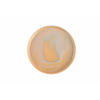 Porland Stoneware Savanna Тарілка пласка з бортом 220 мм
