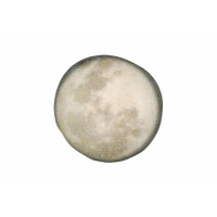 Porland Stoneware Selene Тарілка кругла 280 мм