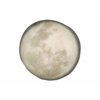 Porland Stoneware Selene Тарілка кругла 300 мм