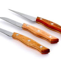 Набір ножів для карвінгу декорування 3 предмета серія ProCooking PEM_937